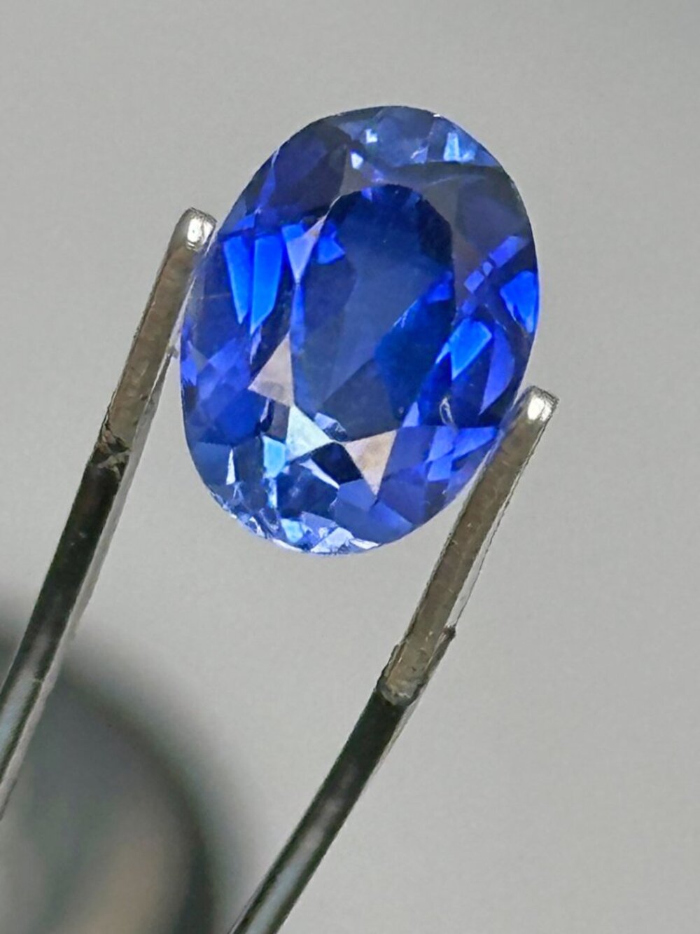 Blue Sapphire Jewel